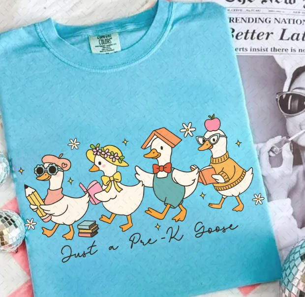 Just a Pre-K through 4th Grade Goose-ADULT